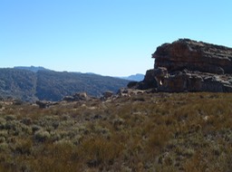 DSCF0142