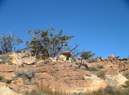 DSCF0157