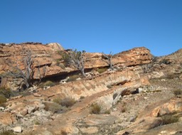 DSCF0165