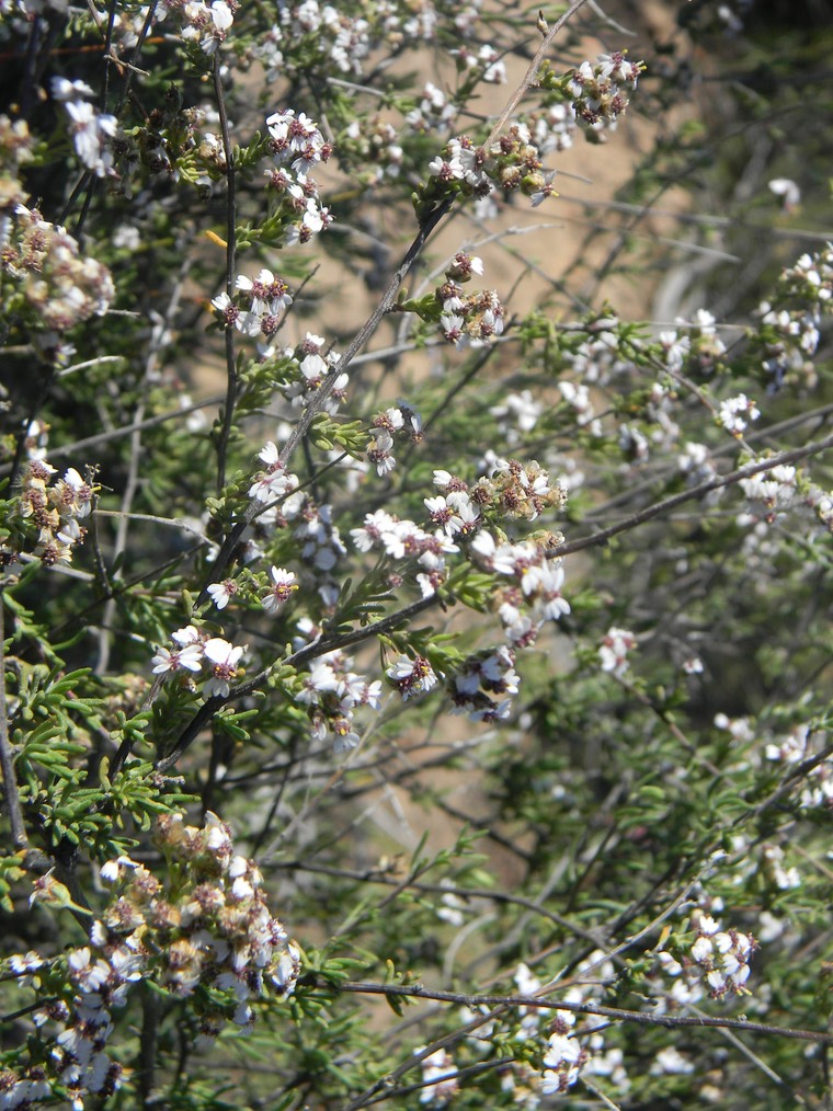 DSCN5155.JPG