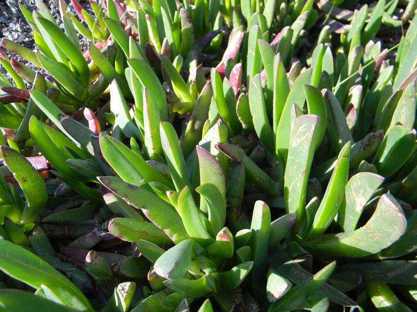 DSCN5179.JPG