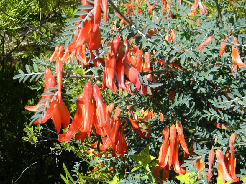 DSCN5188.JPG